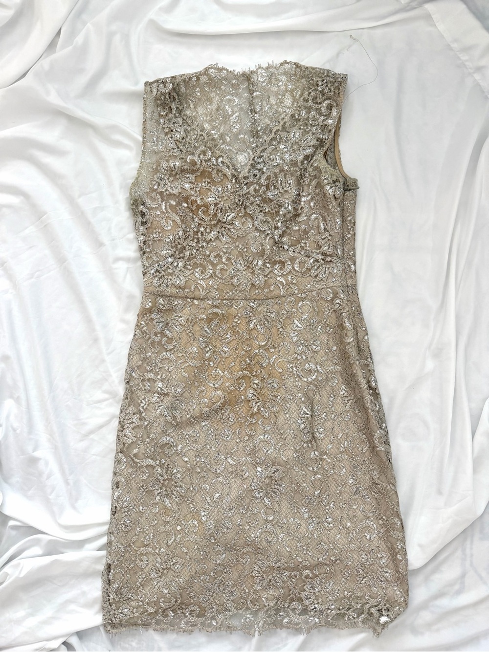 Elegant Lace Sheath Dress in Champagne